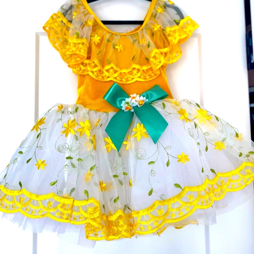 Princess dress for ballet, ballroom dancing, gymnastics or formal occasion